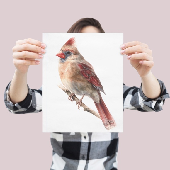 Watercolor Female Cardinal Bird Wall Art Print Unframed - Picture 4 of 7